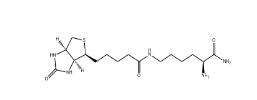 H-Lys(biotinyl)-NH? 61125-53-9 賴氨酸(生物素基)-NH?