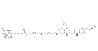 2055048-42-3 Dde Biotin-PEG4-Picolyl azide DDE-生物素-四聚乙二醇-吡啶甲基疊氮化物