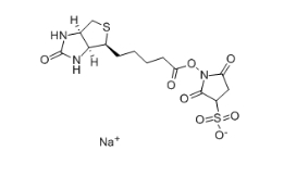 119616-38-5 Biotin 3-sulfo-N-hydroxysuccinimide ester sodium salt