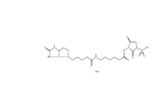 127062-22-0 Sulfo-NHS-LC-Biotin 水溶生物素活性酯交聯劑,6-(生物素酰胺)己酸磺酸基琥珀酰亞胺酯鈉鹽