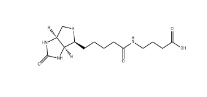 35924-87-9 4-((Biotinoyl)amino)Butyric acid 生物素酰基-4-氨基丁酸