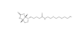 138529-46-1 Biotin-PEG2-NH2/生物素二聚乙二醇氨基