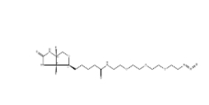875770-34-6 Biotin-PEG4-azide/生物素四聚乙二醇疊氮