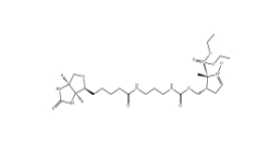 936224-52-1 DEPMPO-biotin