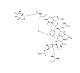  CAS號: 126703-17-1       生物素標(biāo)記抗利尿激素