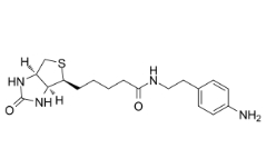 769933-15-5        Biotin-aniline，98%，25mg	生物素-苯胺	