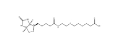 1365655-89-5,Biotin-PEG2-COOH	，生物素-二聚乙二醇-丙酸