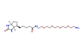 663171-32-2；（+）-Biotin-PEG4-CH2CH2NH2；生物素-五聚乙二醇-氨基