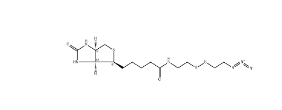cas:1620523-64-9；Biotin-SS-azide；生物素-二硫-疊氮	