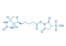 190598-55-1；Biotin sulfo-N-hydroxysuccinimide ester	；2,5-二氧代-1-((5-((3AS,4S,6AR)-2-氧代六氫-1H-噻吩并[3,4-D]咪唑-4-基)戊酰基)氧基)吡咯烷-3-磺酸	