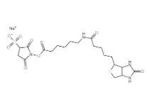 191671-46-2，Biotinamidohexanoic acid 3-sulfo-N-hydroxysuccinimide ester sodium salt
