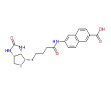 1217755-61-7，N-Biotinyl-6-amino-2-naphthoic Acid