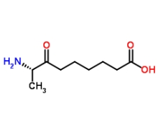 [CAS 177408-65-0]，KAPA hydrochloride (7-keto-8-Aminopelargomic Acid) 