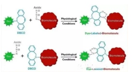 CLS-PEG2000-DBCO，Cholesterol-PEG2000-DBCO， 膽固醇-聚乙二醇-二苯基環(huán)辛炔