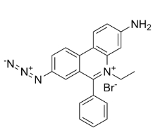 EMA[單疊氮化溴乙非啶]，CAS號：58880-05-0，EMA [Ethidium monoazide bromide]