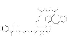 CY7-二苯基環(huán)辛炔;二苯并環(huán)辛炔-CY7;CY7-二苯并環(huán)辛炔，DBCO-Cyanine7，CAS號：2253710-45-9