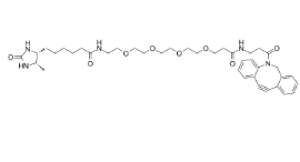 DBCO-PEG4-Desthiobiotin，Desthiobiotin-PEG4-DBCO，CAS號：2032788-37-5，二苯基環(huán)辛炔-四聚乙二醇-脫硫生物素