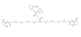 DBCO-N-bis(PEG4-NHS ester)，CAS:2639395-38-1，二苯基環(huán)辛炔-N-bis(四聚乙二醇-琥珀酰亞胺酯)