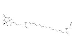 Biotin-PEG4-amide-Alkyne，CAS號(hào)：1006592-45-5