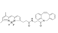 BDP FL DBCO，DBCO-BODIPY FL，2093197-94-3