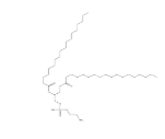 DSPE二硬脂酰磷脂酰乙醇胺，1069-79-0 ，DSPE藥用輔料， 1,2-二硬脂?；?sn-丙三基-3-磷脂酰乙醇胺