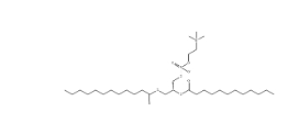 1,2-二十二酰基-sn-glycero-3-膽堿磷酸(DLPC)，18194-25-7