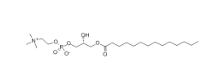 811442-84-9，Amine-PEG4-NH-Boc，氨基-四聚乙二醇-叔丁氧羰基