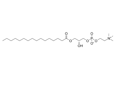 17364-16-8，P-LysoPC，棕櫚酰溶血卵磷脂