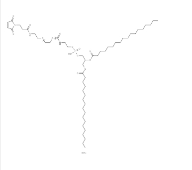 474922-22-0，DSPE -PEG2000- Maleimide，磷脂酰乙醇胺-聚乙二醇2000-馬來(lái)酰亞胺